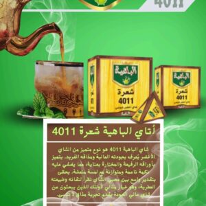 import placeholder for 1556